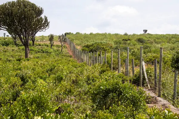 nolan-farms-security-fence-2