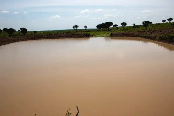 nolan-farms-water-dam