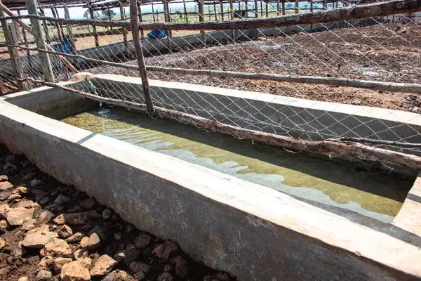 nolan-farms-water-trough